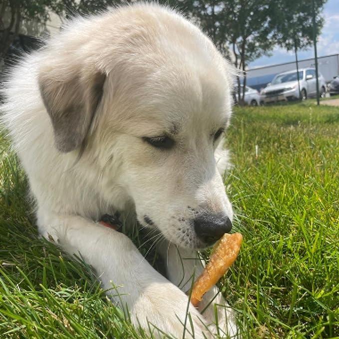 Best Bully Sticks Chicken Breast Dehydrated Dog Treats - Chicken Fillet Treats for Dogs 8 oz. - All Natural High Protein Real Chicken Premium Jerky Dog Chews - Grain Free Dog Treats