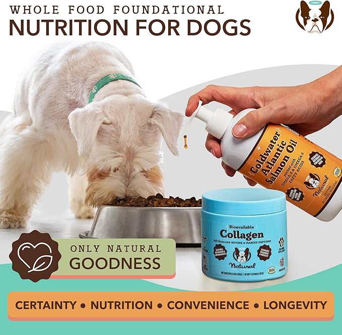 Natural Dog Company Collagen Chews for Dogs - Enhanced with Eggshell Membrane - Unique 4-Type Collagen Blend for Mobility, Hip, Joint, Skin & Coat Support - with Vitamin C and Hyaluronic Acid -90 Ct
