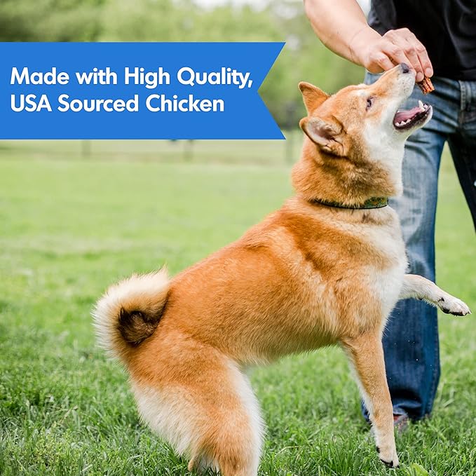DOGSWELL Immunity & Defense, Flaxseed Oil, Turmeric, Vitamin E & A, Healthy Aging, Chicken Jerky 24 oz (842197)