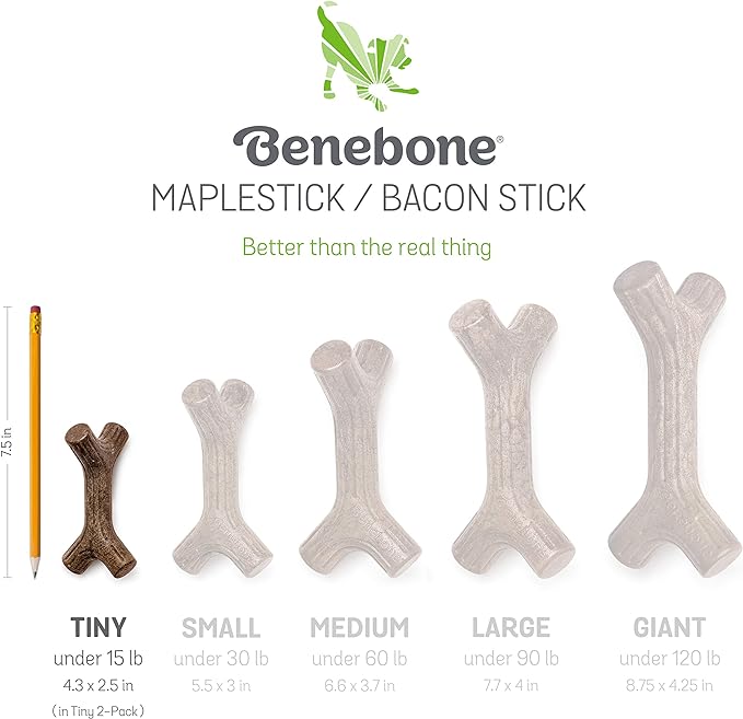 Benebone Puppy 2-Pack Maplestick/Zaggler Durable Dog Chew Toys for Gentle Chewers, Real Bacon, Real Maplewood, Made in USA, Tiny