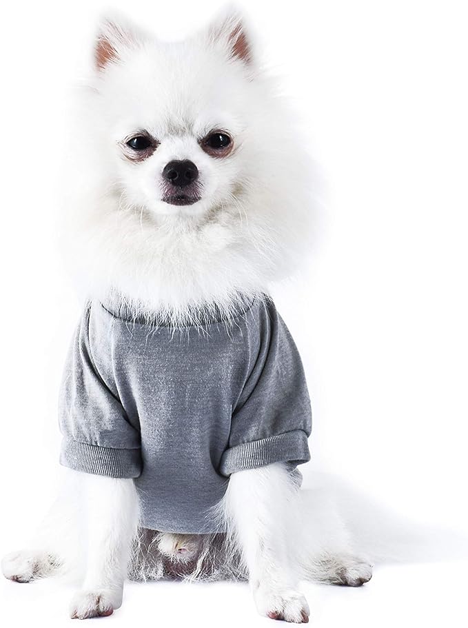 Star Wars for Pets "Come To The Fluffy Side" Chewbacca Dog Tee | Dog Shirt for Large Dogs | Size X-Large | Soft, Cute, and Comfortable Dog Clothing and Apparel, Cute Dog Clothes