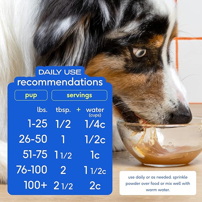 Native Pet Bone Broth for Dogs and Cats – Dog Bone Broth Powder for Dog Food Topper for Picky Eaters – Cat and Dog Broth - Dog Gravy Topper for Dry Food – Beef Broth for Dogs and Cats – 4.75 oz