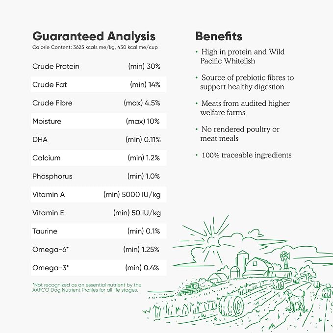 Open Farm Catch-of-The-Season Whitefish & Ancient Grains Dry Dog Food, Wild-Caught Whitefish Recipe with Wholesome Grains and No Artificial Flavors or Preservatives, 11 lbs