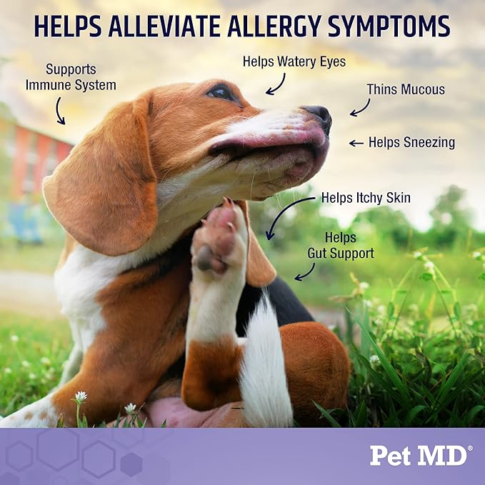 Pet MD Allergy Aid - Puppy & Dog Allergy Chews with Quercetin & Pumpkin - Immune & Seasonal Allergy Relief for Dogs - Skin & Itch Relief for Dogs - 60 ct