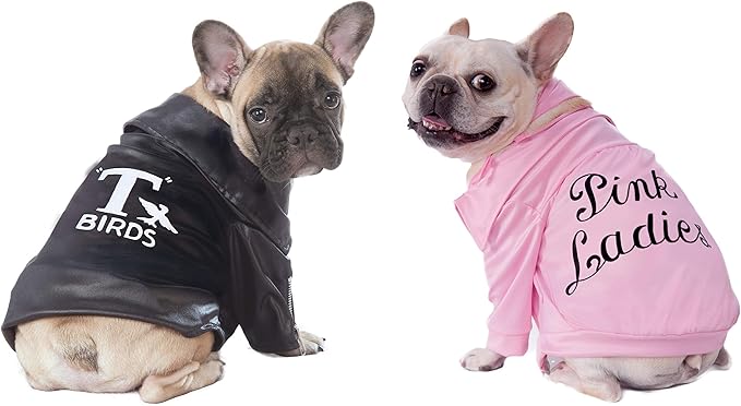 Rubie's Grease Pet T-Birds Costume Jacket, Small