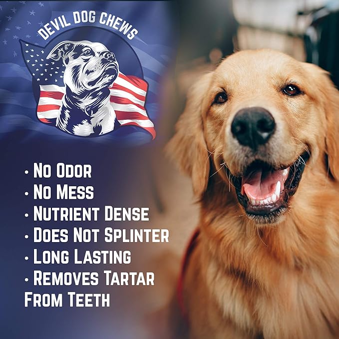 Devil Dog Pet Co Premium Bully Sticks for Dogs Pizzle Dog Chews - from 100% Grass-Fed, Free-Range Cattle - USA Veteran Owned (Thick, 12 Inch - 1 Pack)
