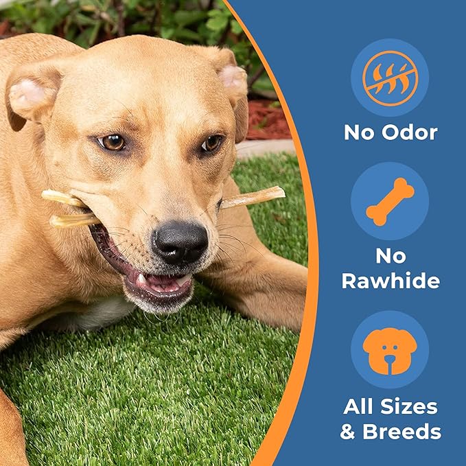 Beef Tendon Chews for Dogs - Single Ingredient All Natural Dog Treats - Dog Chew Sticks for Dogs, 7-9 Inch - Free-Range, Grass-Fed Beef & Rawhide Free (25-Pack)