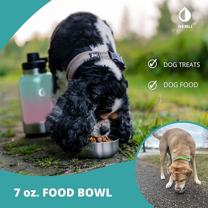 32 oz. Portable Dog Water Bottle, Dog Travel Water Bottle, Portable Water Bowl for Dogs, Dog Travel Bowel, Dog Water Bottle for Walking, Dog Travel Accessories Kit, Pet Travel Bottle for Hiking