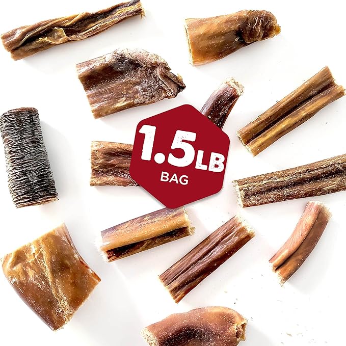 Gullet Jerky Bites Dog Treats | 1.5 lb Bag | USA Baked & Packed - All-Natural Beef Dog Treats - Light and Medium Chew Rawhide-Free Snack for All Dogs - Perfect Size for Treats and Rewards