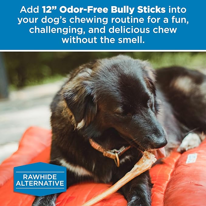 Best Bully Sticks 12 Inch Odor Free Bully Sticks for Dogs, 20 Pack, Bulk Bag 100% Natural, Grass-Fed Beef, Digestible Bully Bones, Grain and Rawhide Free, Odorless Dog Bully Sticks for Large Dogs