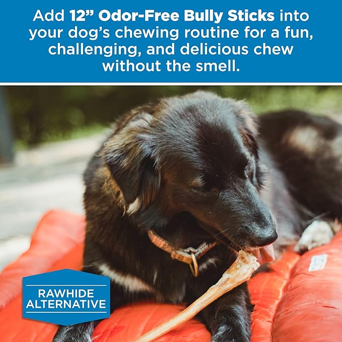 Best Bully Sticks 12 Inch Odor Free Bully Sticks for Dogs, 12 Pack - 100% Natural, Grass-Fed Beef, Digestible Bully Bones, Grain and Rawhide Free, Odorless Dog Bully Sticks for Large Dogs
