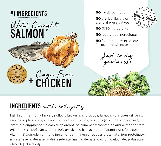 The Honest Kitchen One Pot Stews: Simmered Salmon & Chicken Stew with Brown Rice & Broccoli Wet Dog Food, 10.5 oz x6
