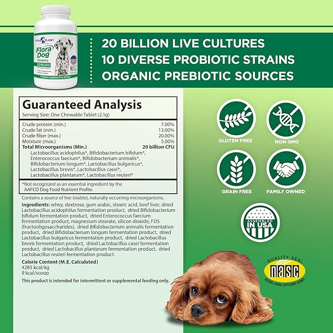 Vital Planet - Flora Dog Probiotic Chewable Tablets Supplement with 20 Billion Cultures and 10 Strains, High Potency Immune and Digestive Support Probiotics for Dogs, 30 Beef Flavored Chewable Tablets