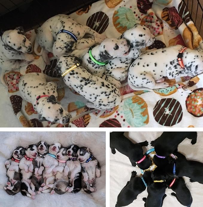 YOY 8pcs PVC Anti-Odor Waterproof Puppy Whelping ID Collars + 14pcs Soft Nylon Litter Collars, Reflective Stripe Baby Dog ID Bands Pet Identification for Newborn Pets Cats Kitten, Set of 22