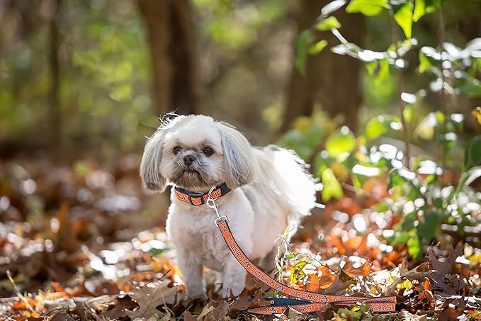 Pets First Collegiate Pet Accessories, Dog Leash, Auburn Tigers, Large
