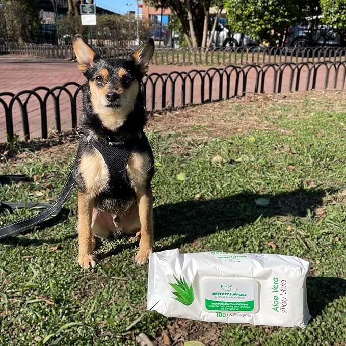 Best Pet Supplies 8" x 9" Pet Grooming Wipes for Dogs & Cats, 100 Pack, Plant-Based Deodorizer for Coats & Dry, Itchy, or Sensitive Skin, Clean Ears, Paws & Butt - Hydrating Aloe Vera (Unscented)