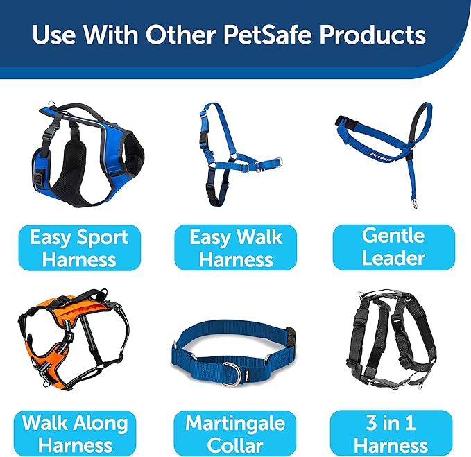 PetSafe Nylon Dog Leash - Strong, Durable, Traditional Style Leash with Easy to Use Bolt Snap - 3/4 in. x 6 ft., Royal Blue