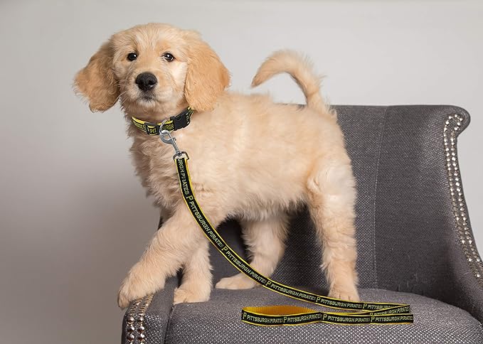 MLB PET Leash, Small, Pittsburgh Pirates Dog Leash, Baseball Team Leash for Dogs & Cats. A Shiny & Colorful Dog & Cat Leash with Emboridered Team Name/Logo Licensed by the MLB