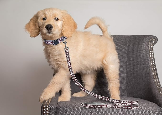 Pets First Collegiate Pet Accessories, Dog Leash, Texas A&M Aggies, Medium