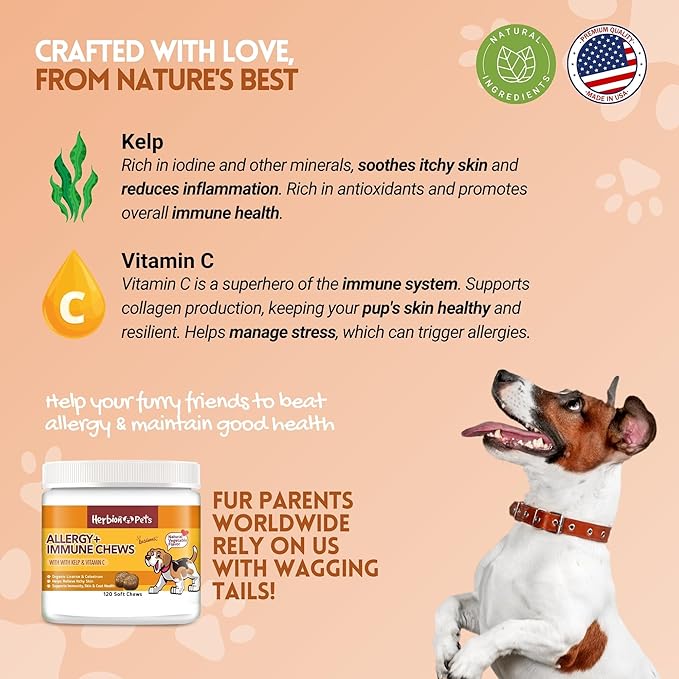 Herbion Pets Allergy + Immune Chews with Kelp & Vitamin C, 120 Soft Chews - Supports Immunity, Skin and Coat Health - Relieves Itchy Skin - Made in USA - Natural Vegetable Flavor - for Dogs 12 Weeks+