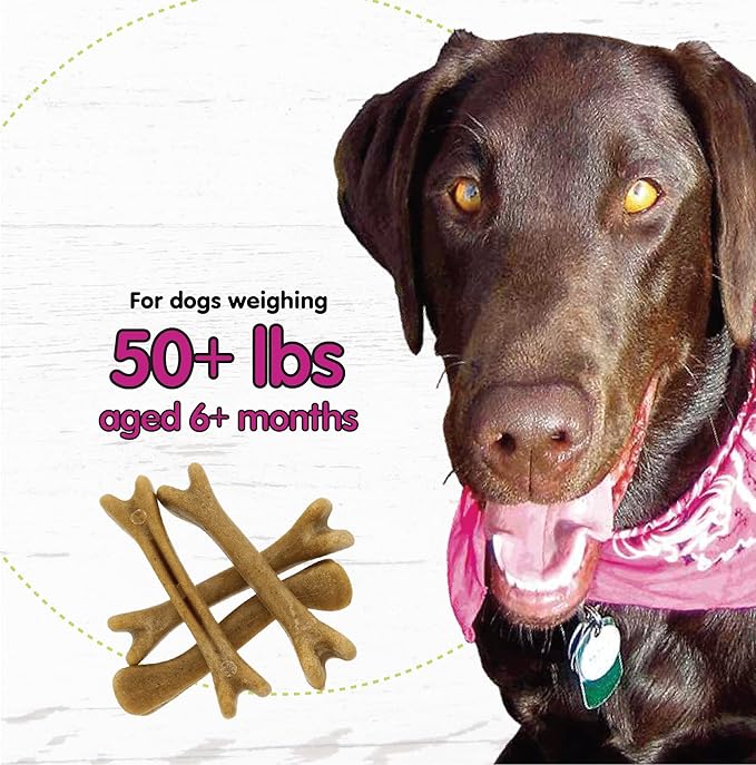 Belly Bones for Dogs, 4 Yogurt Flavor Large Dog Dental Treats (Made in USA) - 4 Count Dog Treats for Large Dogs - Plaque and Tartar Control for Fresh Breath, Digestive Health Support
