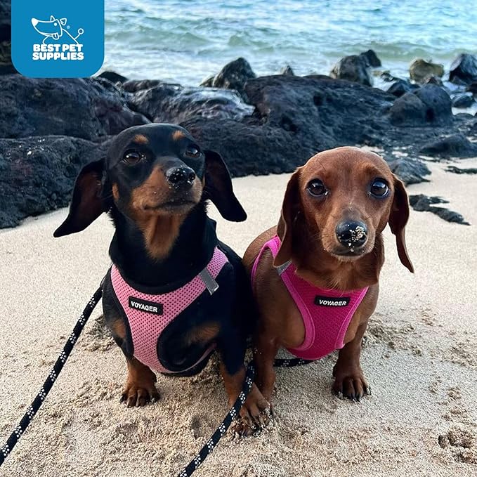 Voyager Step-in Air Dog Harness - All Weather Mesh Step in Vest Harness for Small and Medium Dogs by Best Pet Supplies - Harness (Fuchsia), X-Small