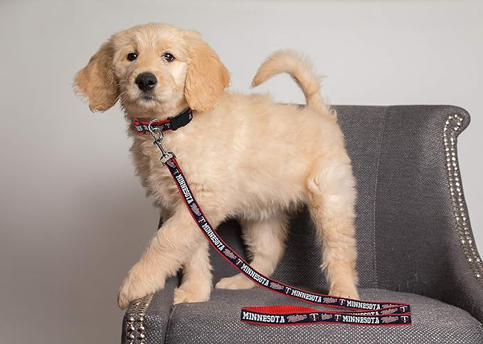 MLB PET Leash, Small, Minnesota Twins Dog Leash, Baseball Team Leash for Dogs & Cats. A Shiny & Colorful Dog & Cat Leash with Emboridered Team Name/Logo Licensed by the MLB