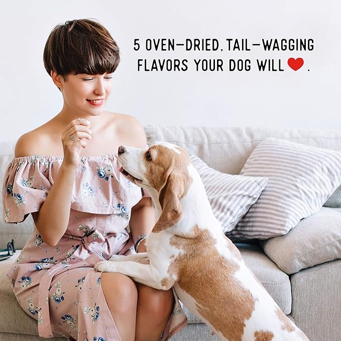 Farmland Traditions Dogs Love Chicken Premium Two Ingredients Jerky Treats for Dogs (1 lb. No Antibiotics Ever USA Raised Chicken)
