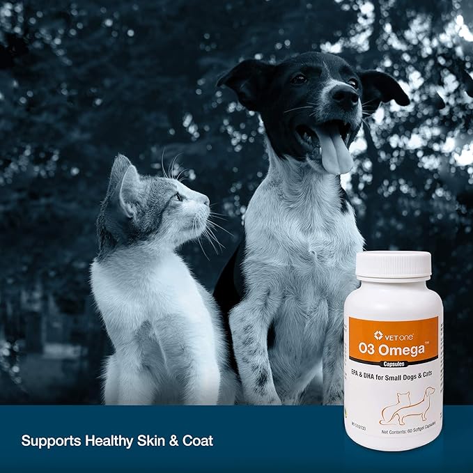 VetOne O3 Omega Soft Gel for Cats & Small Dogs - Essential Fatty Acid Support - Skin & Coat Supplement - 60 Capsules