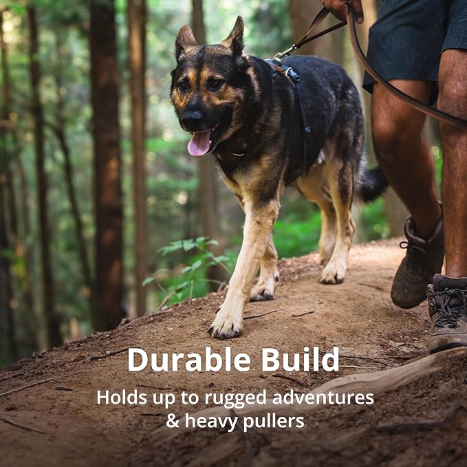 Ruffwear, Front Range Dog Harness, Reflective and Padded, No Pull Harness for Training and Everyday, Basalt Gray, X-Small