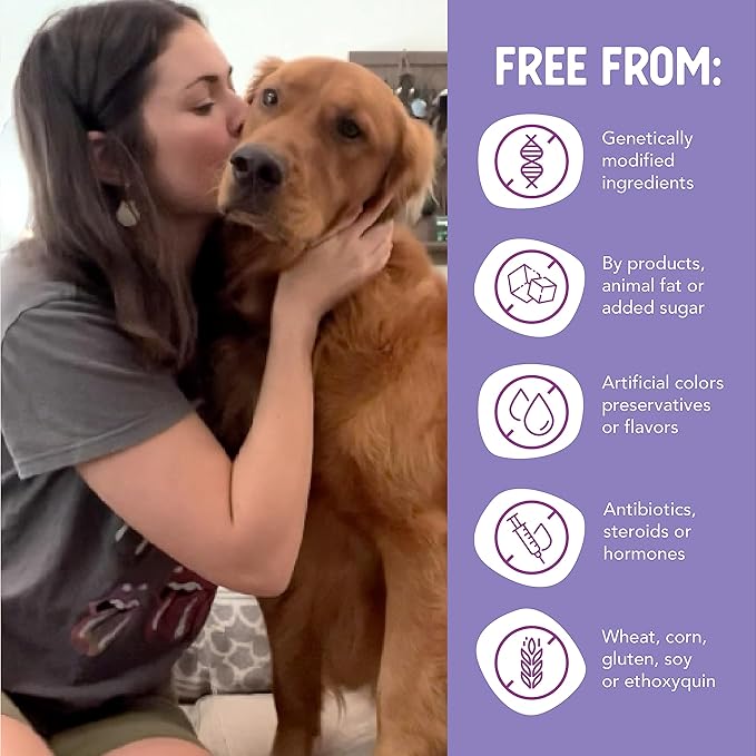 Health Extension Wet Dog Food, Gluten and Grain-Free, Healthy Natural Food Canned for Puppies, Beef Recipe