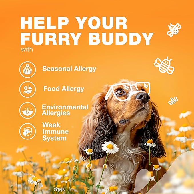 Dog Allergy Relief Chews - Itch Relief for Dogs - Dog Allergy Chews - US Formulated Dog Itching Skin Relief with Salmon Oil - Anti Itch, Immune Health, Seasonal Allergies & Hot Spots Support Treats