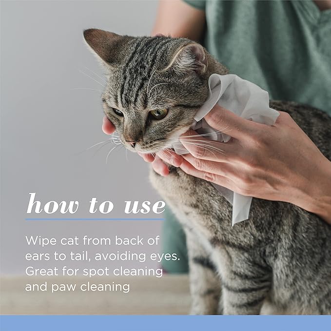 Burt's Bees for Pets Kitten Wipes Wipes - Kitten Wipes for All Cats, Safe for Kittens - Cruelty Free, Formulated without Sulfates and Parabens, pH Balanced for Cats - Made in USA, 50 Count - 6 Pack