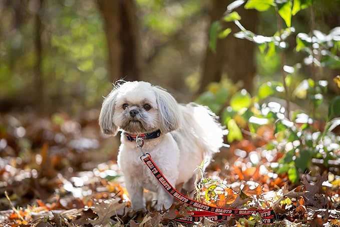 MLB PET Leash, Small, San Francisco Giants Dog Leash, Baseball Team Leash for Dogs & Cats. A Shiny & Colorful Dog & Cat Leash with Emboridered Team Name/Logo Licensed by the MLB