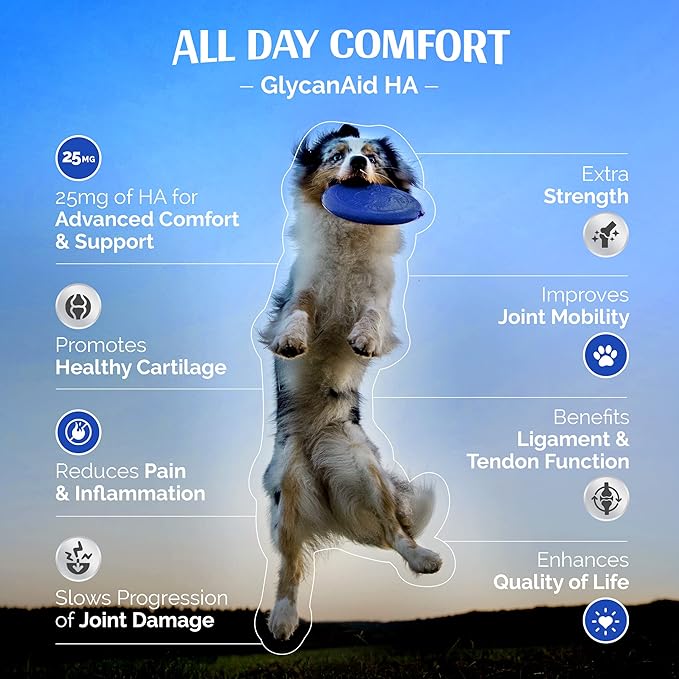 Glycanaid HA Glucosamine for Dogs Hip and Joint Supplement - Dog Joint Chews Made in USA - Hyaluronic Acid Dog Hip & Joint Care - Dog Joint Pain Relief with Cetyl M for Dogs