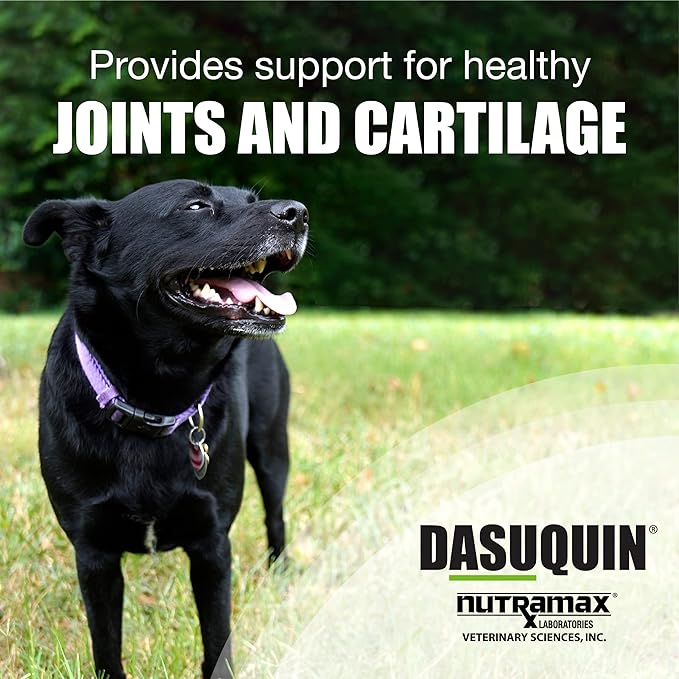 Dasuquin Soft Chews for Large Dogs 150ct