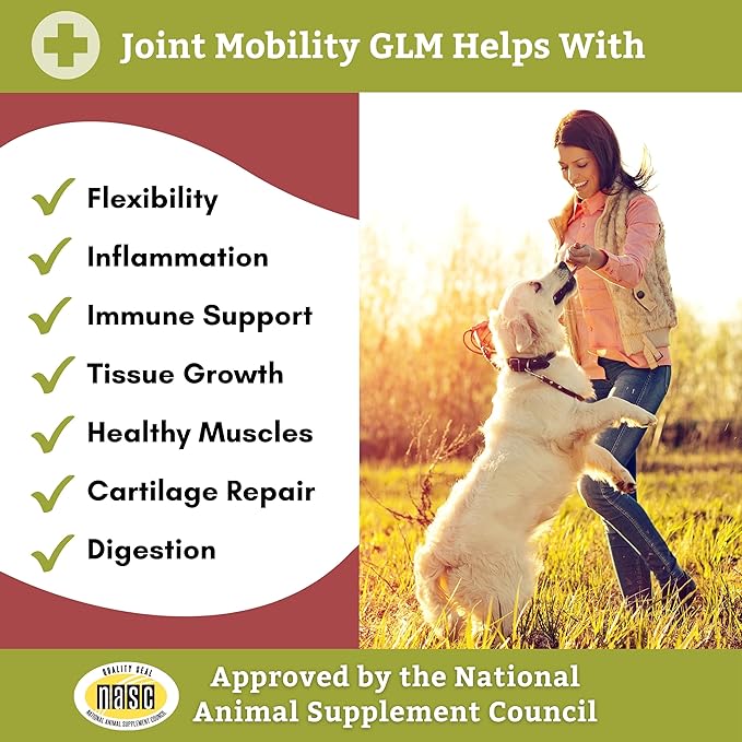 Wholistic Pet Organics: Joint Support Supplement for Dogs - Green Lipped Mussel (1lb) with Glucosamine & Chondroitin - Dog Hip & Joint Pain Relief - Natural Arthritis Relief & Long-Term Joint Health