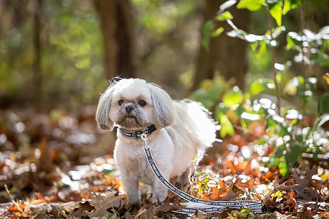 Pets First Collegiate Pet Accessories, Dog Leash, Penn State Nittany Lions, Large