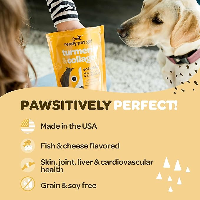 Hip and Joint Supplement for Dogs Turmeric and Collagen Hip and Joint Chews for Dogs Mobility & Comfort | Dog Hip and Joint Supplement Large Breed Small Breed and Senior Dogs | 90 Chews