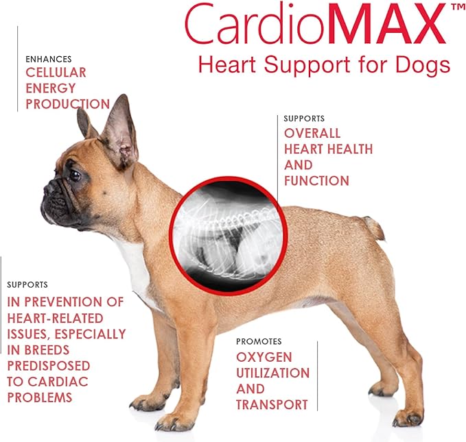 Cardio MAX Heart Support Supplement for Dogs - L-Taurine, L-Carnitine, EPA and DHA, Coenzyme Q10 - Aids Circulatory Strength, Cardiovascular Support, Heart Muscle Function- 60 Soft Chews
