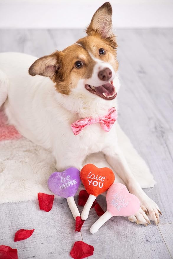 Pearhead Be My Valentine Pet Bandana, Valentine’s Day Slide-On Dog Bandana, Dog Apparel, Pet Accessory, M/L