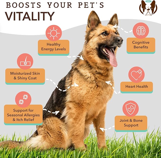 Natural Dog Company Pure Wild Alaskan Salmon Oil for Dogs (32oz) Skin & Coat Supplement for Dogs, Dog Oil for Food with Essential Fatty Acids, Fish Oil Pump for Dogs, Omega 3 Fish Oil for Dogs