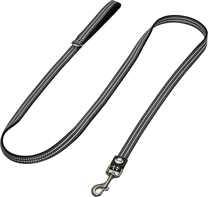 Franklin Pet Supply Nylon Dog Leash – Reflective – Comfort Fit – Neoprene Handle – 6 Foot – Dog Training – Walking – Black