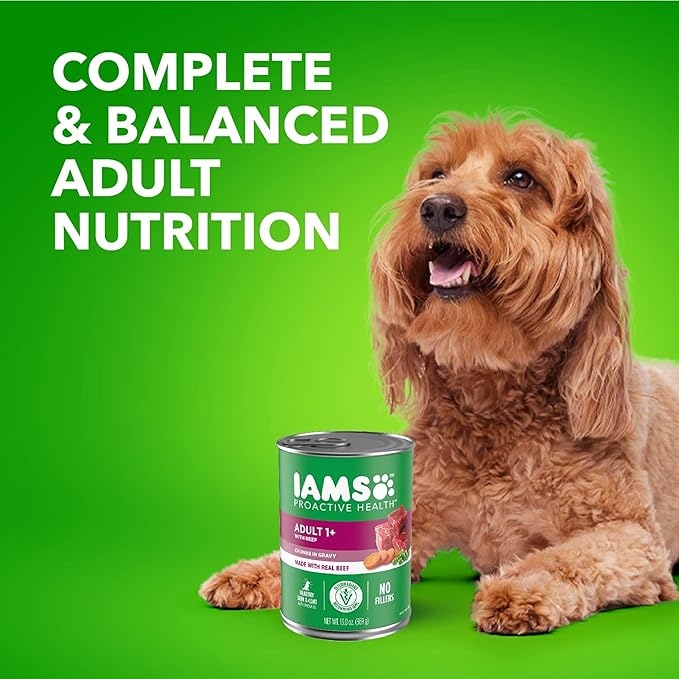 Iams Proactive Health Wet Dog Food, Chicken Chunks in Gravy and Beef Chunks in Gravy, 13 oz., Pack of 12