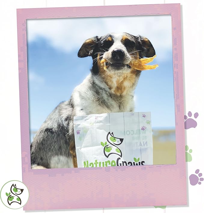 Nature Gnaws Mixed Beef Tendons & Paddywack for Dogs - Premium Natural Beef Dental Bones - Long Lasting Tasty Dog Chew Treats - Puppy Training Reward