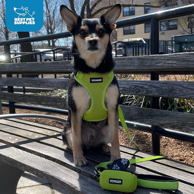 Voyager Step-in Lock Dog Harness w Reflective Dog Leash Combo Set with Neoprene Handle 5ft - Supports Small, Medium and Large Breed Puppies/Cats by Best Pet Supplies - Turquoise, S