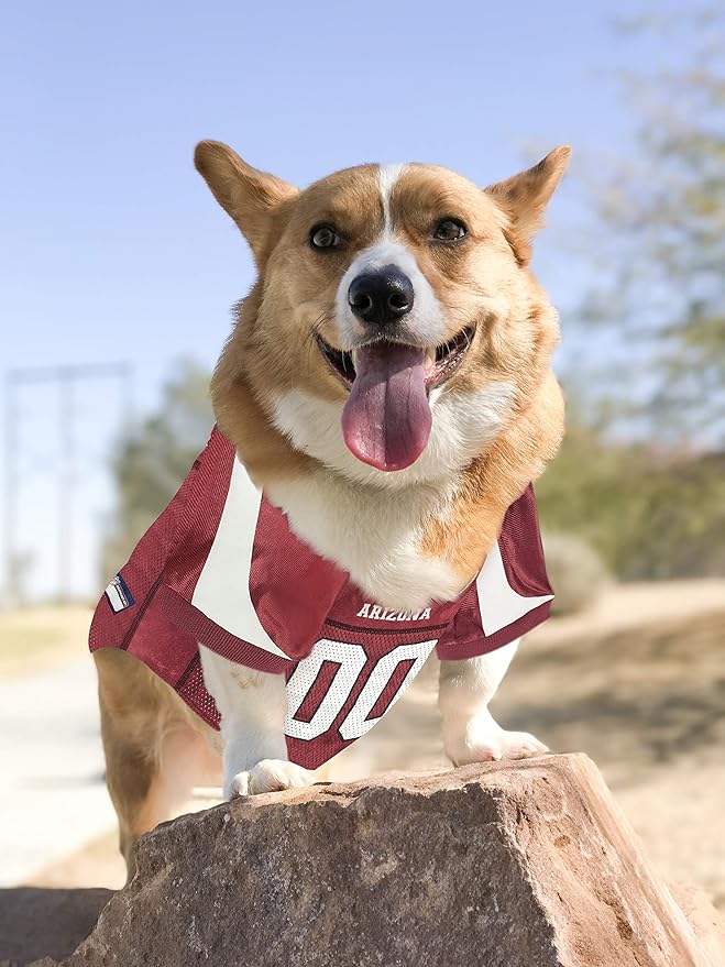 NFL Arizona Cardinals Dog Jersey, Size: Medium. Best Football Jersey Costume for Dogs & Cats. Licensed Jersey Shirt