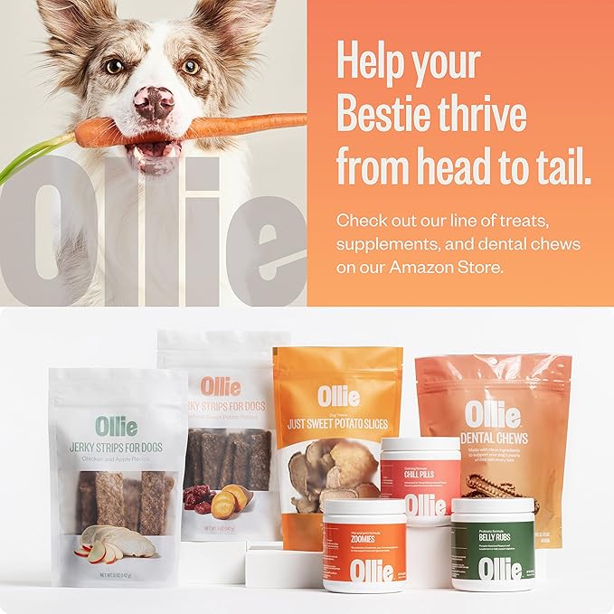 Ollie Dental Chews for Dogs Large- Dog Breath Treats - Dog Teeth Cleaning Treat - Dental Sticks for Dogs - Fresh Breath for Dogs - Dog Dental Chews - Dog Dental Care - 4 Large Pack