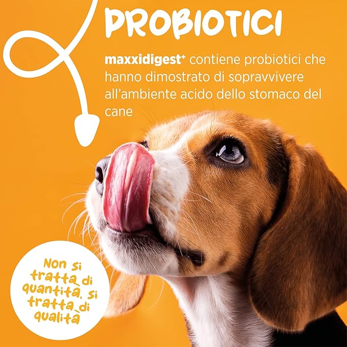 maxxidigest+ Digestive and Immune Support Supplement for Dogs with Probiotics, Prebiotics and Digestive Enzymes – 13.2 oz