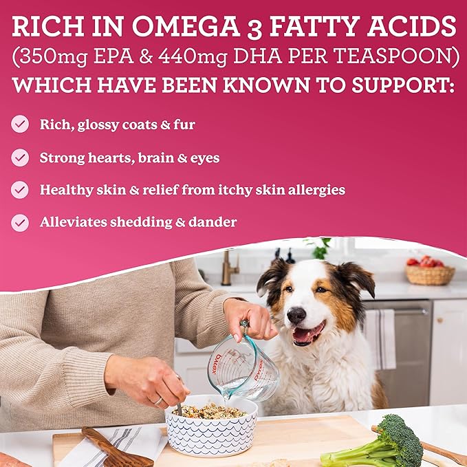 Dr. Harvey's Health & Shine Salmon and Krill Fish Oil for Dogs- Supports Healthy Heart, Brain, and Eyes (16 FL OZ)
